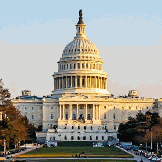 Washington D.C.