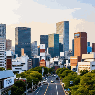 鸟栖市