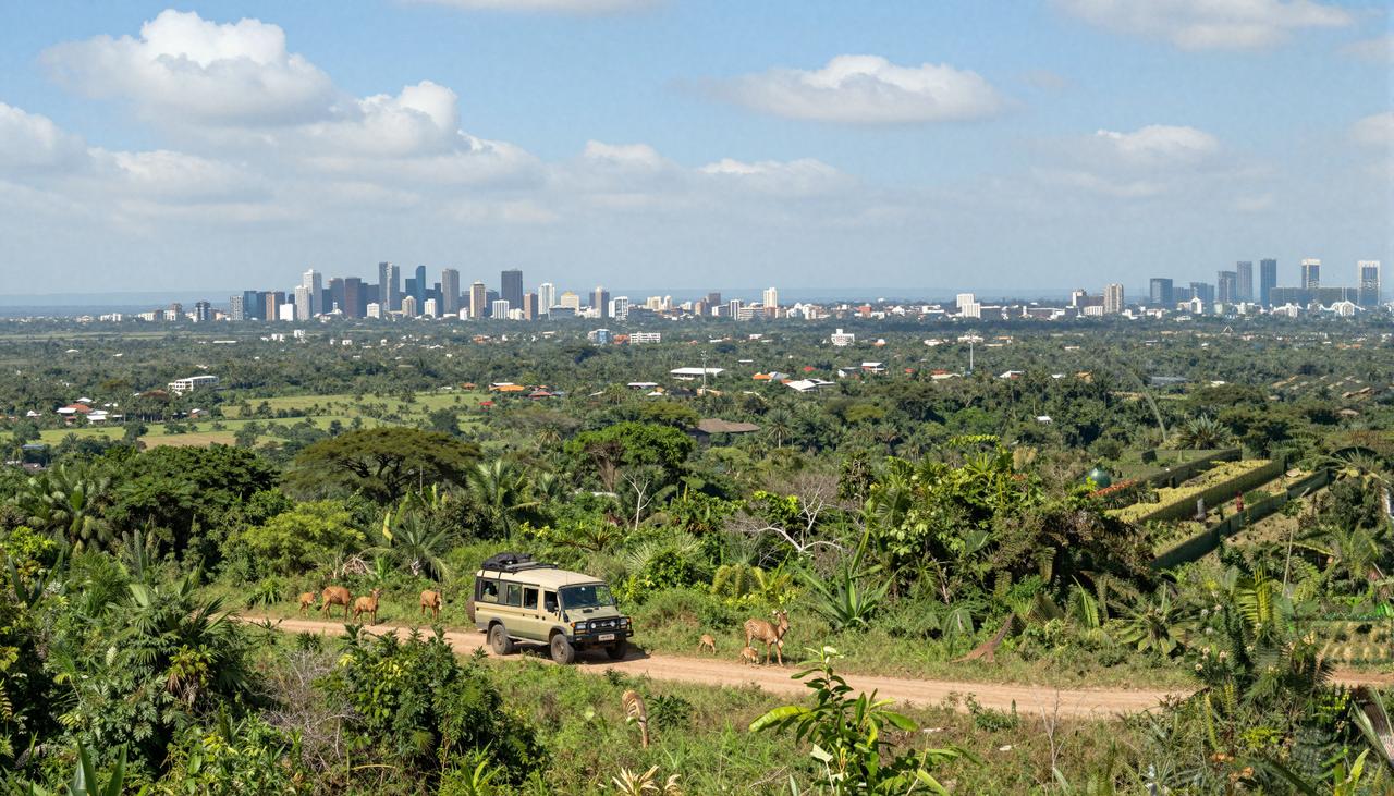 Three-Day Outdoor Adventure Guide to Central Africa: Hiking, Jungle Exploration, and Wildlife Encounters